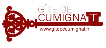 LOGOSIGNATUREFR - THIERRY D'ANDIGNE